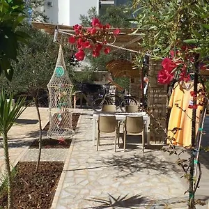 Solive Maison d'hôtes